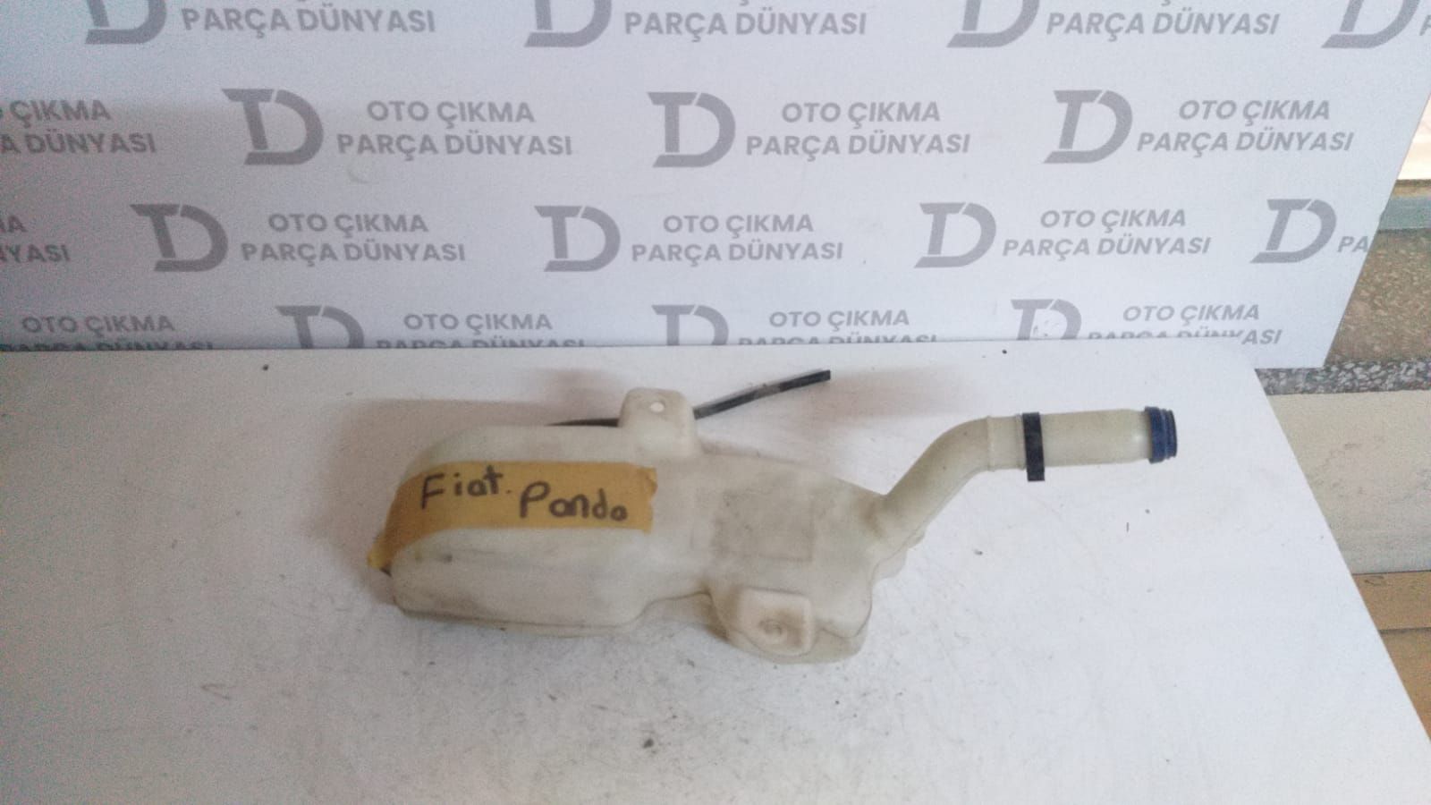 FAT PANDA  CAM SU BDONU