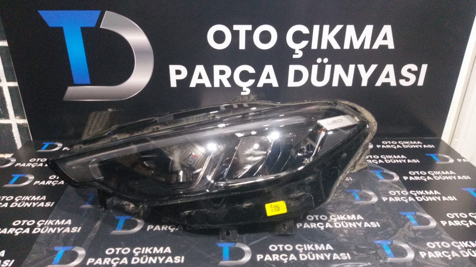 FAT EGEA SOL FAR CROSS -21